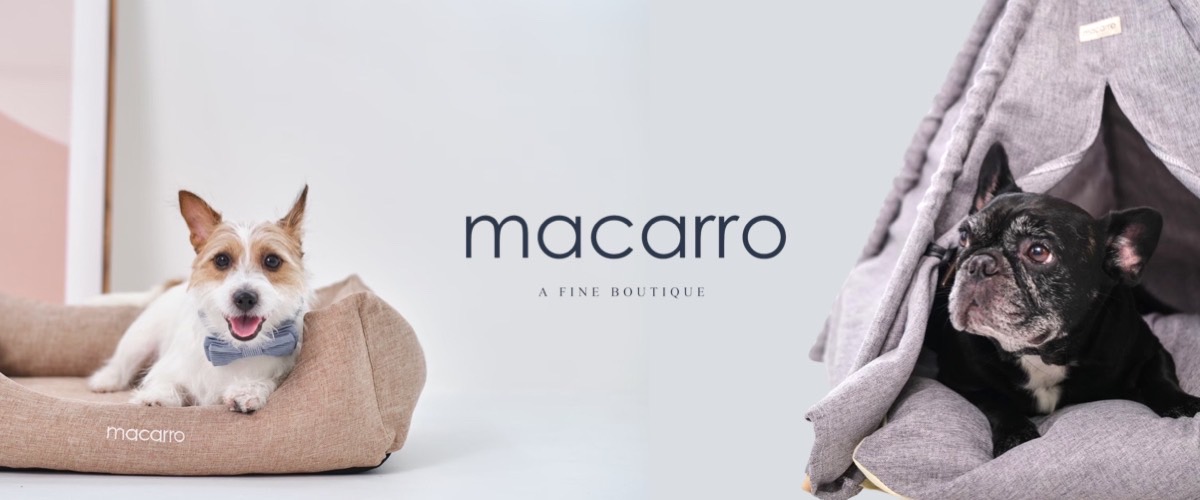 macarro 馬卡兒寵物