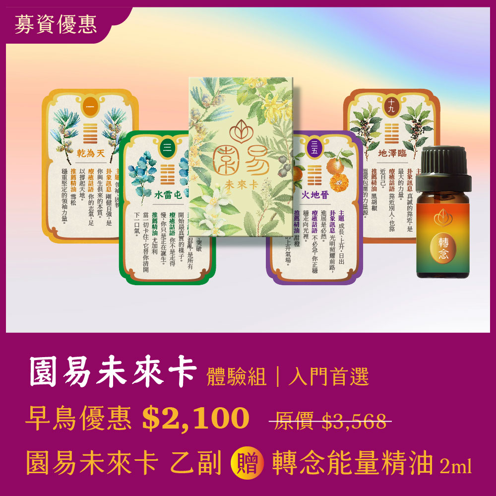 園易未來卡牌體驗組｜入門首選