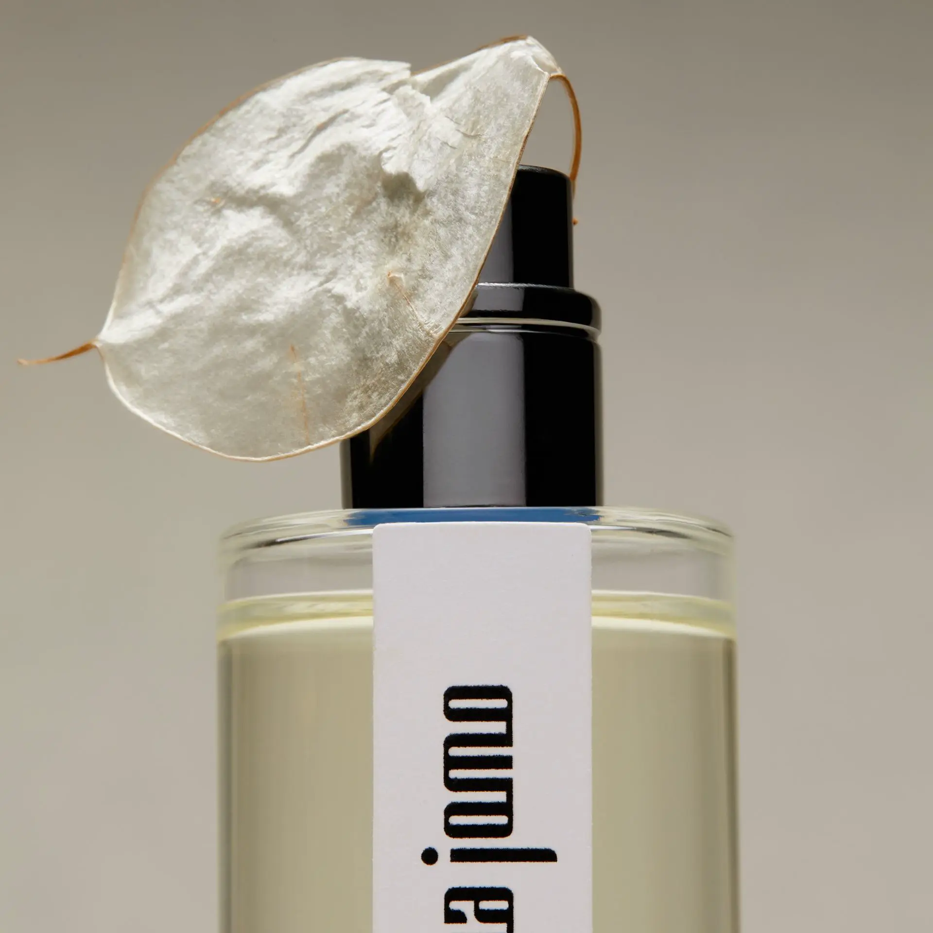 HIMA JOMO Pashm 香水50mL｜beauty STAGE 美麗台｜beautySTAGE美麗台