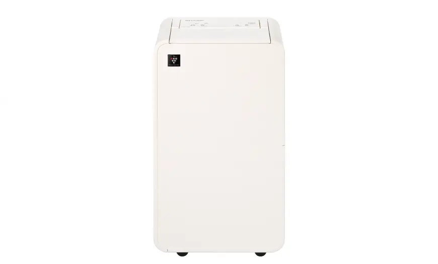 SHARP 夏普 6公升乾淨方mini美型 除濕機 奶油白色 (DW-X6NT-W)