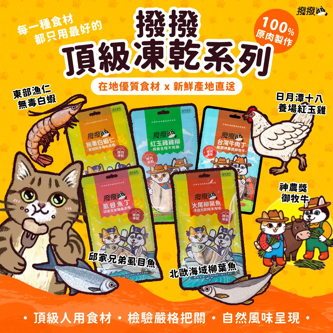 新光獨家🔥雙11特惠【撥撥】凍乾全品項禮盒 (超值5入綜合組)